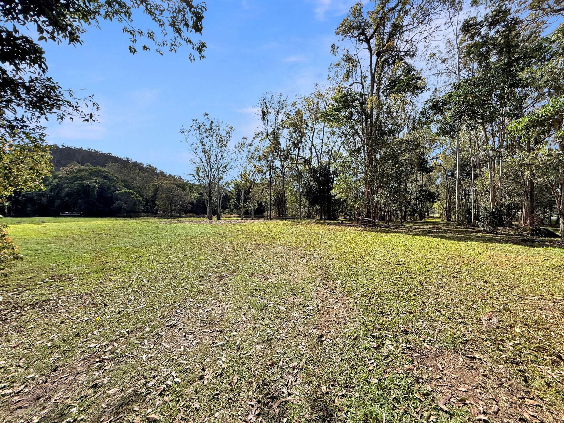Lot 252,  Carrington Road, Carrington For Sale by Farmbuy.com - image 4