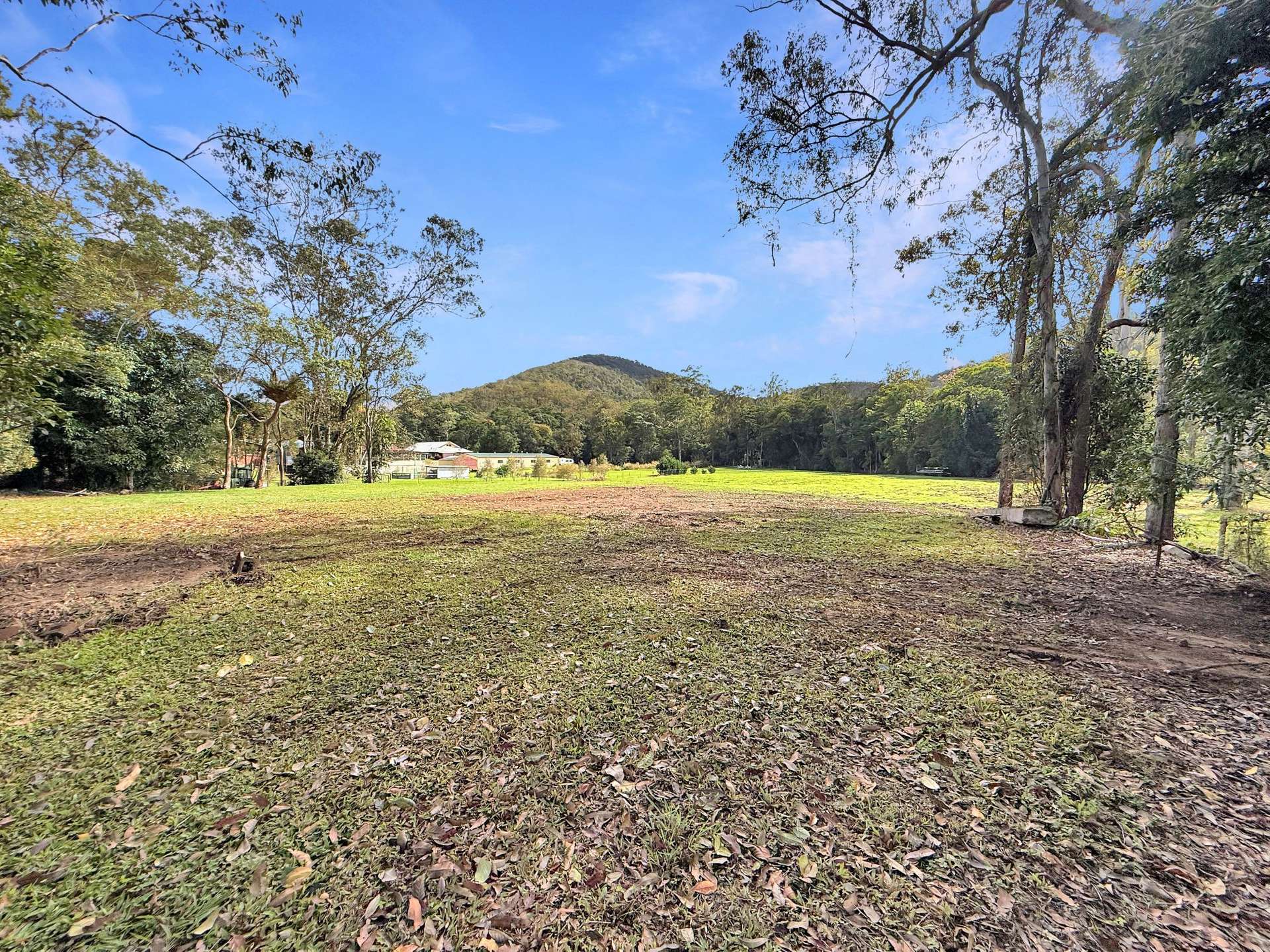 Lot 252,  Carrington Road, Carrington For Sale by Farmbuy.com - image 2