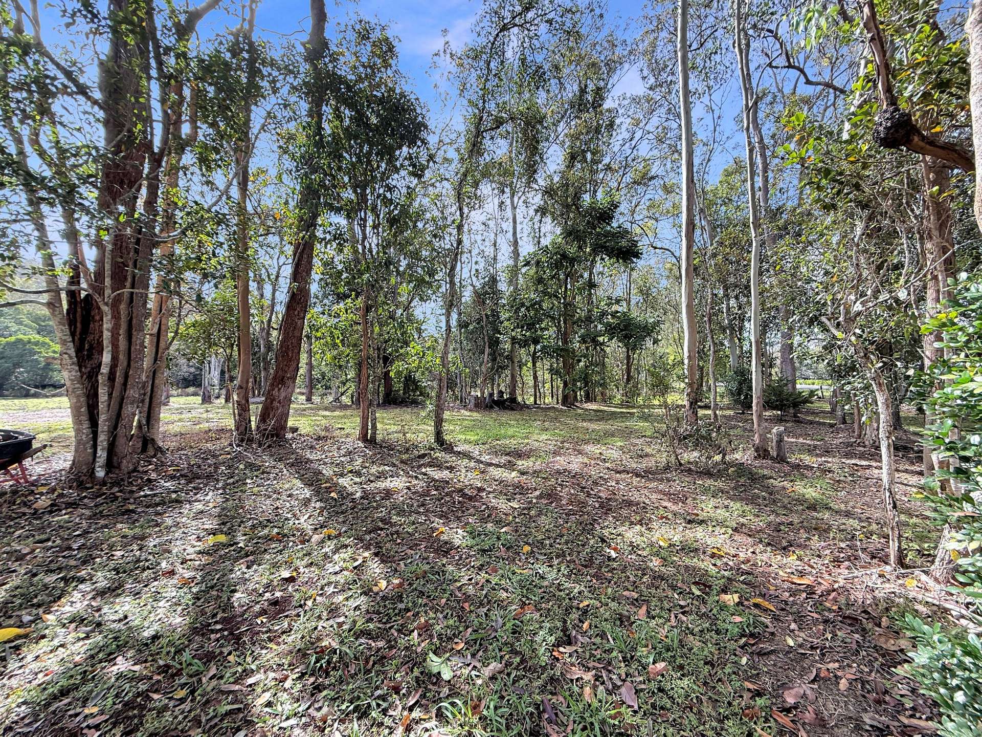 Lot 252,  Carrington Road, Carrington For Sale by Farmbuy.com - image 5