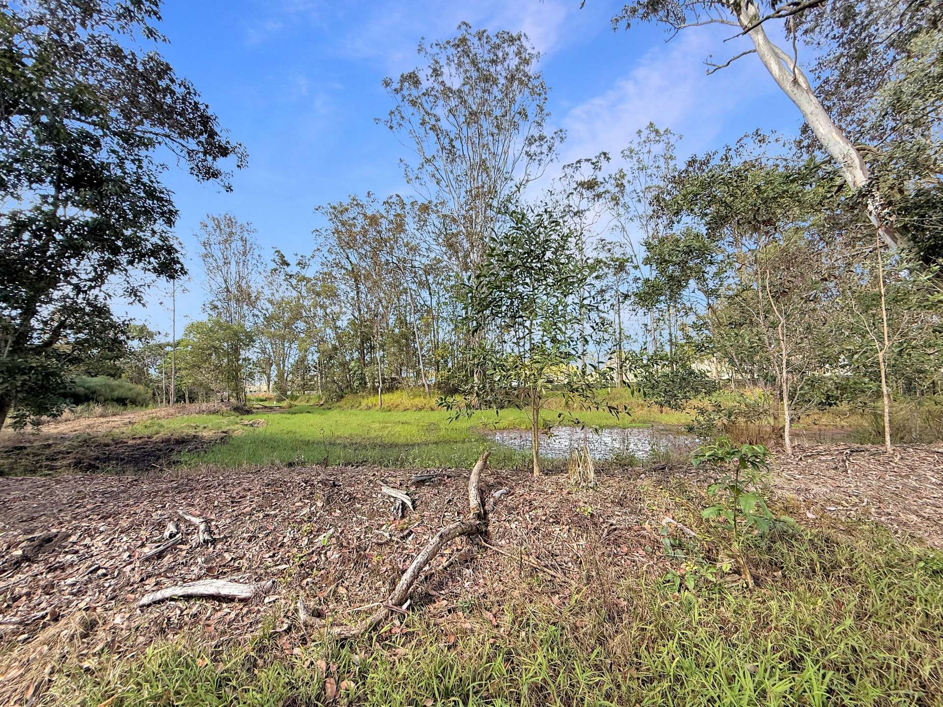 Lot 252,  Carrington Road, Carrington For Sale by Farmbuy.com - image 6