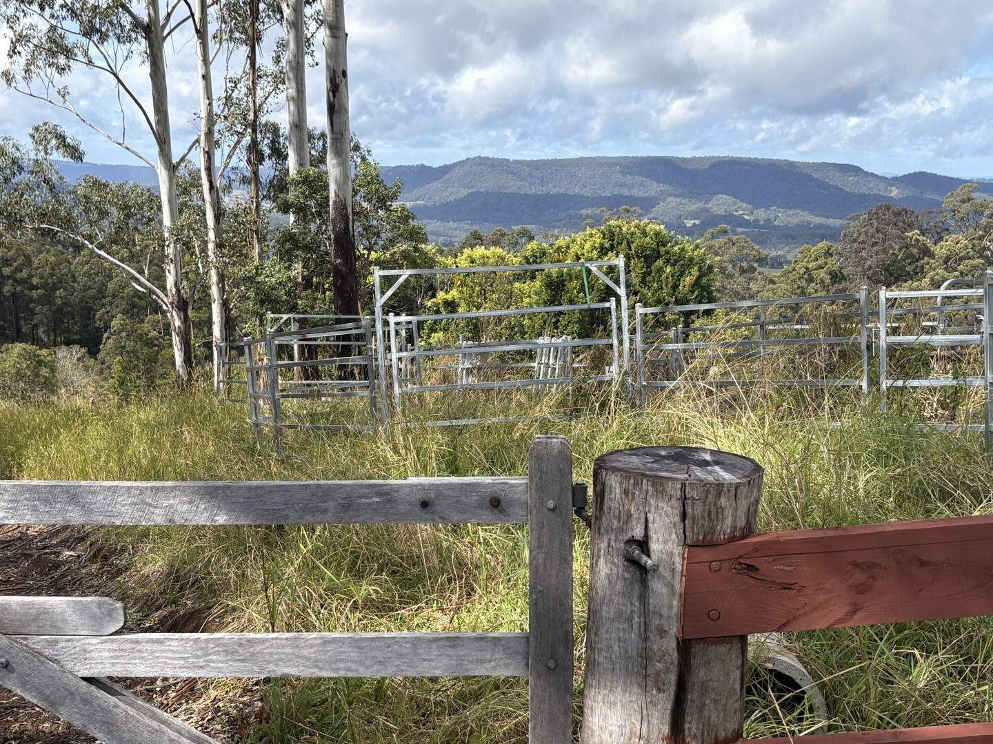 432 Sargent's Road, Homeleigh For Sale by Farmbuy.com - image 20