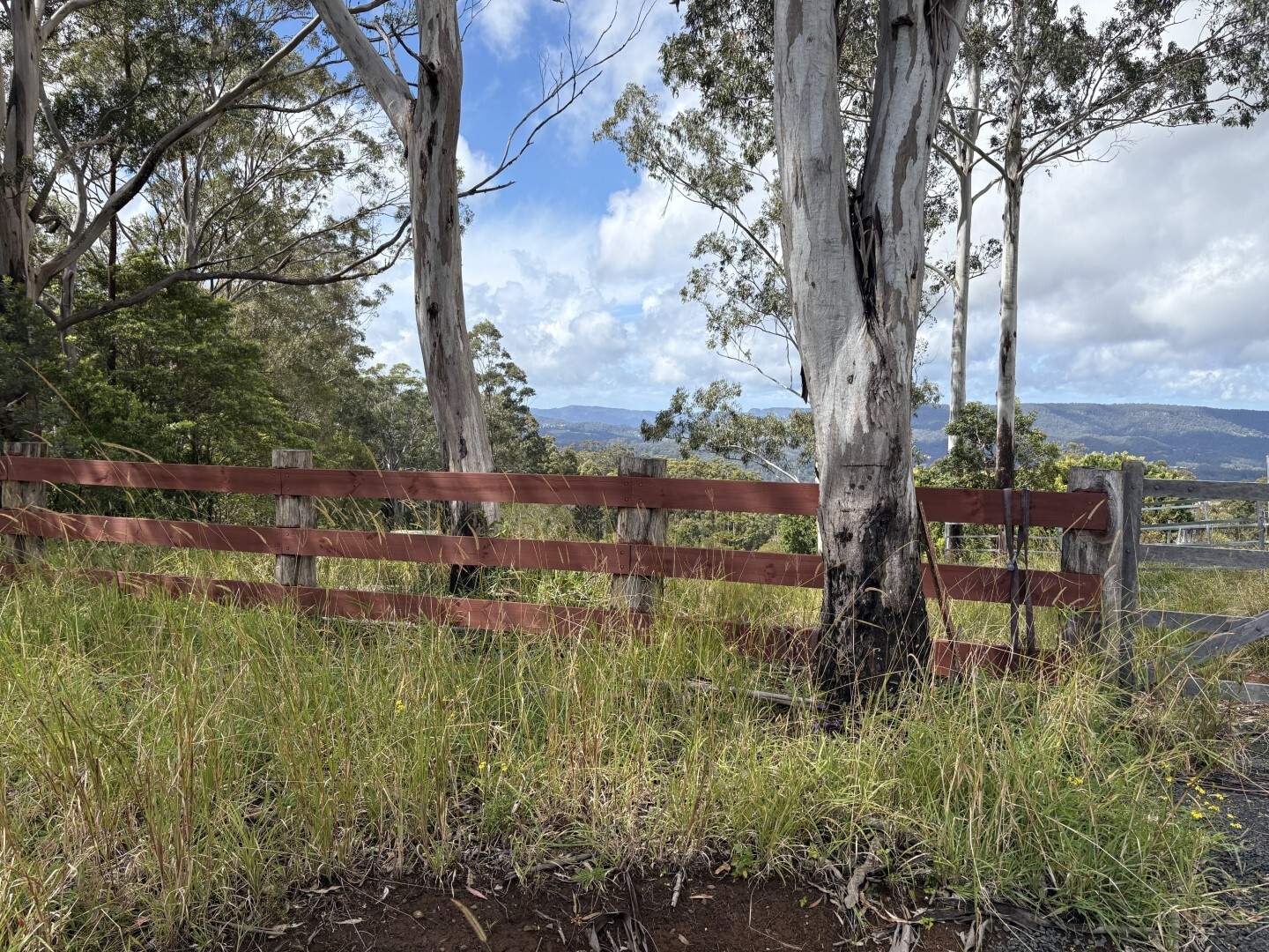 432 Sargent's Road, Homeleigh For Sale by Farmbuy.com - image 21