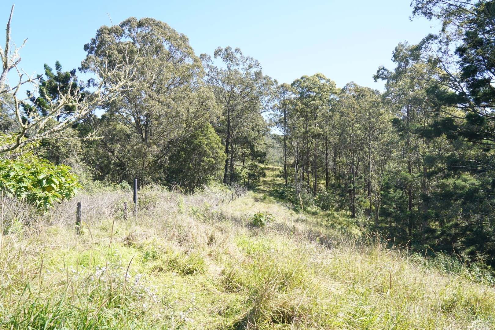 432 Sargent's Road, Homeleigh For Sale by Farmbuy.com - image 11
