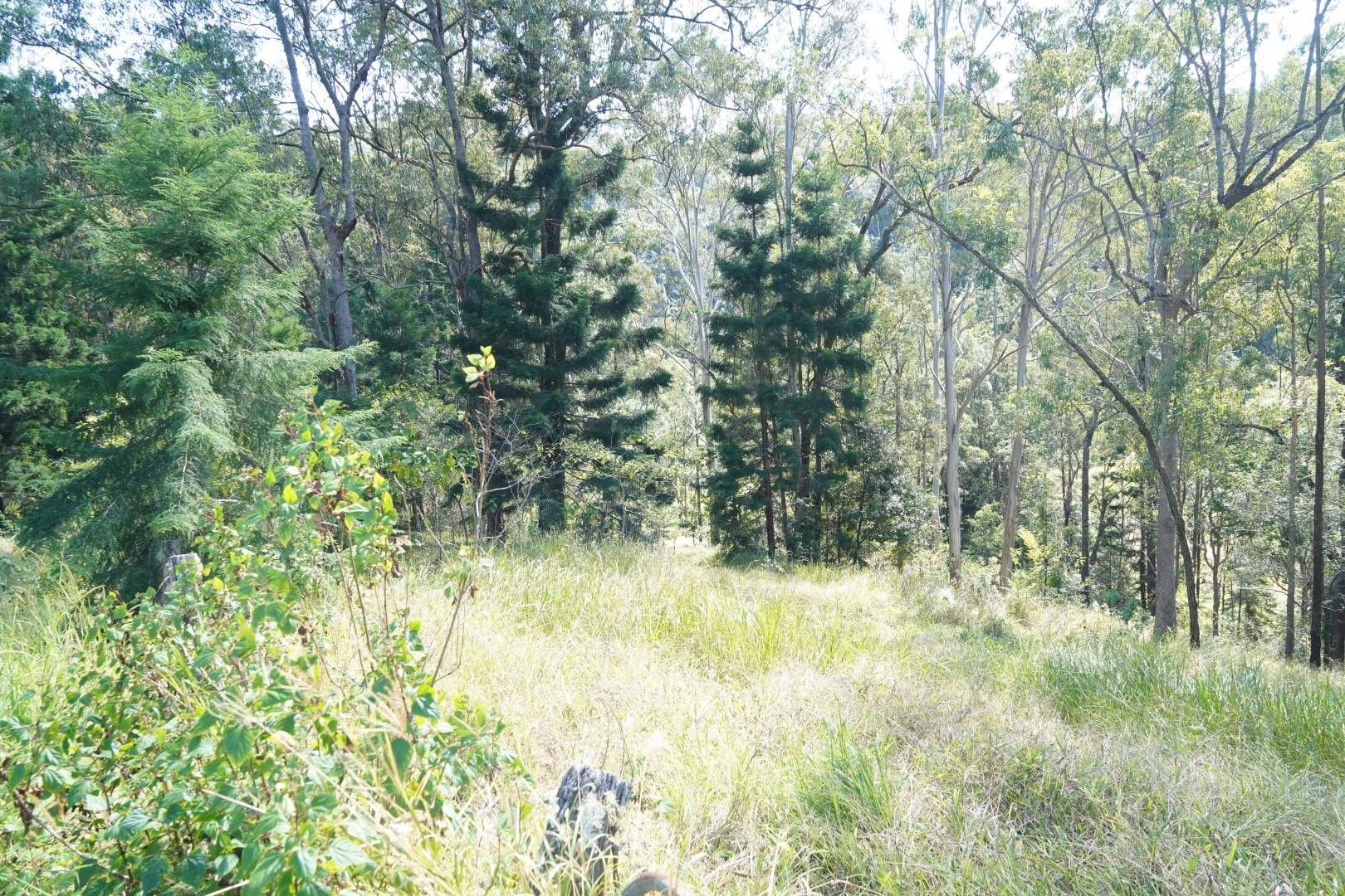 432 Sargent's Road, Homeleigh For Sale by Farmbuy.com - image 13