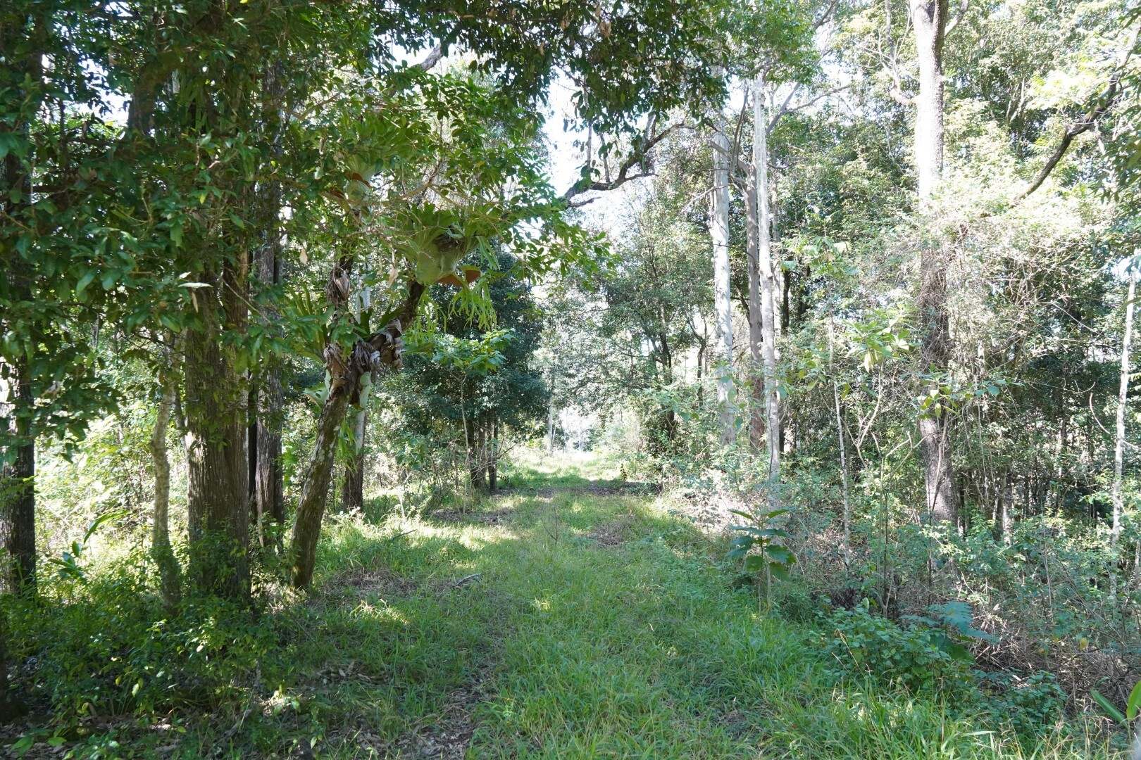 432 Sargent's Road, Homeleigh For Sale by Farmbuy.com - image 7