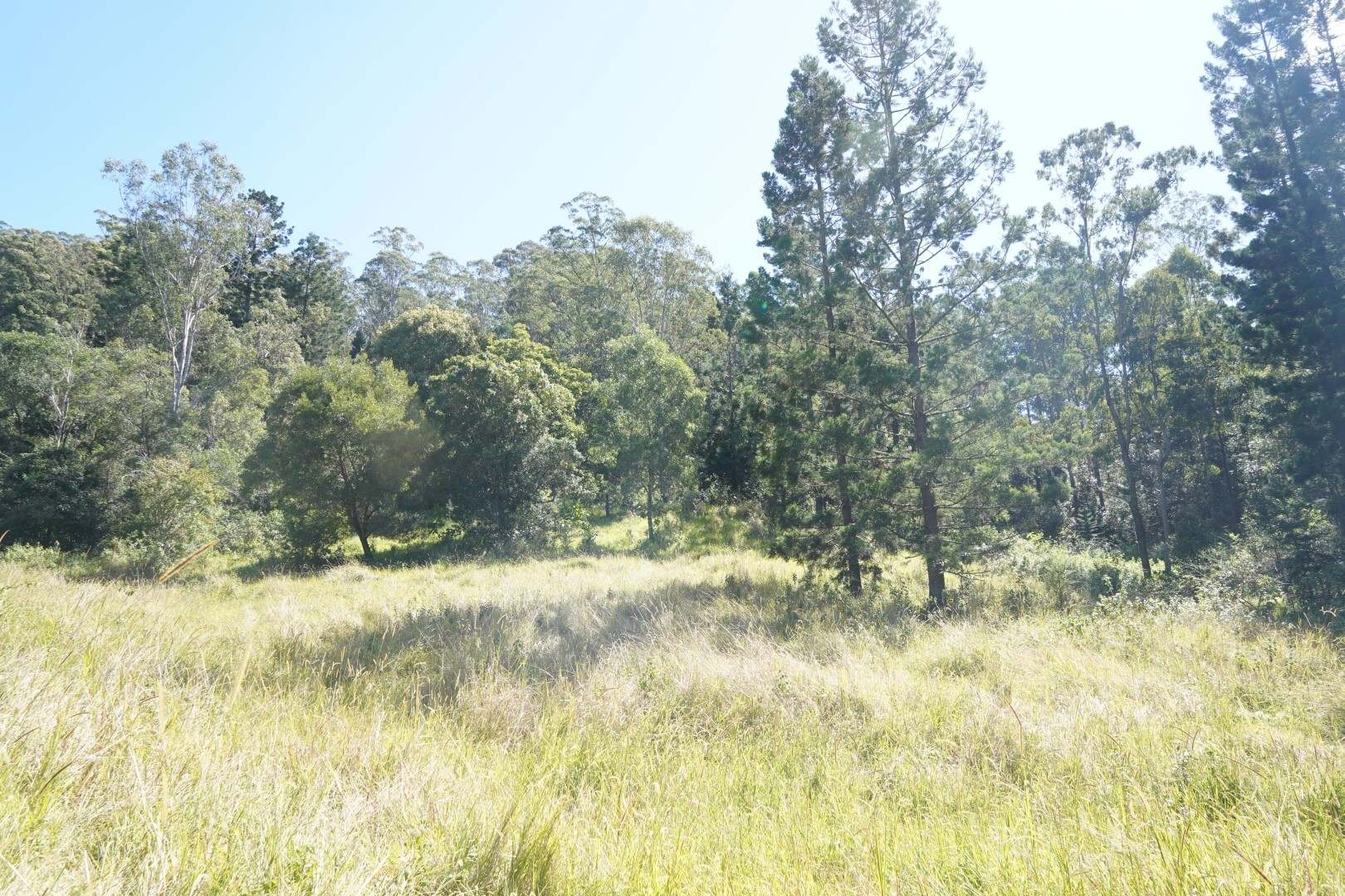 432 Sargent's Road, Homeleigh For Sale by Farmbuy.com - image 14