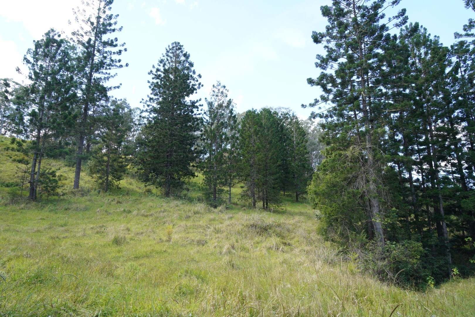 432 Sargent's Road, Homeleigh For Sale by Farmbuy.com - image 1