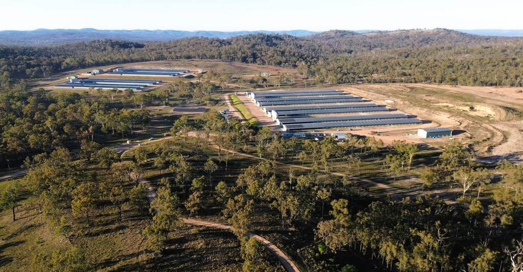 3497 Leyburn Cunningham Road, Pratten QLD 4370