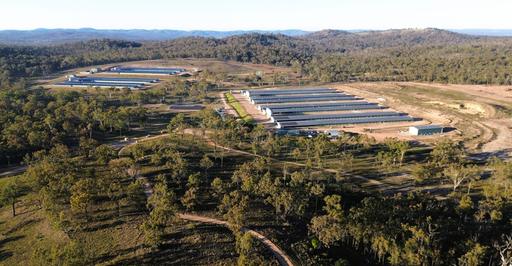3497 Leyburn Cunningham Road, Pratten QLD 4370