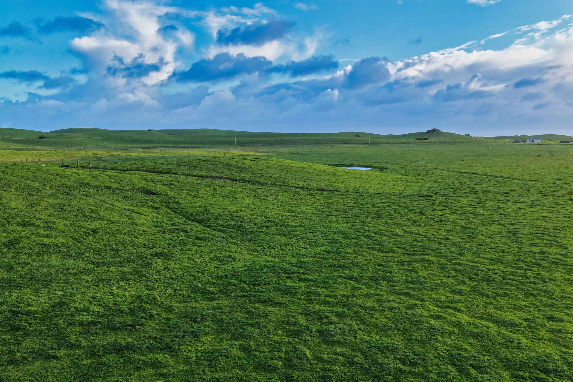 218 Mansons Road, Egg Lagoon For Sale by Farmbuy.com - image 5