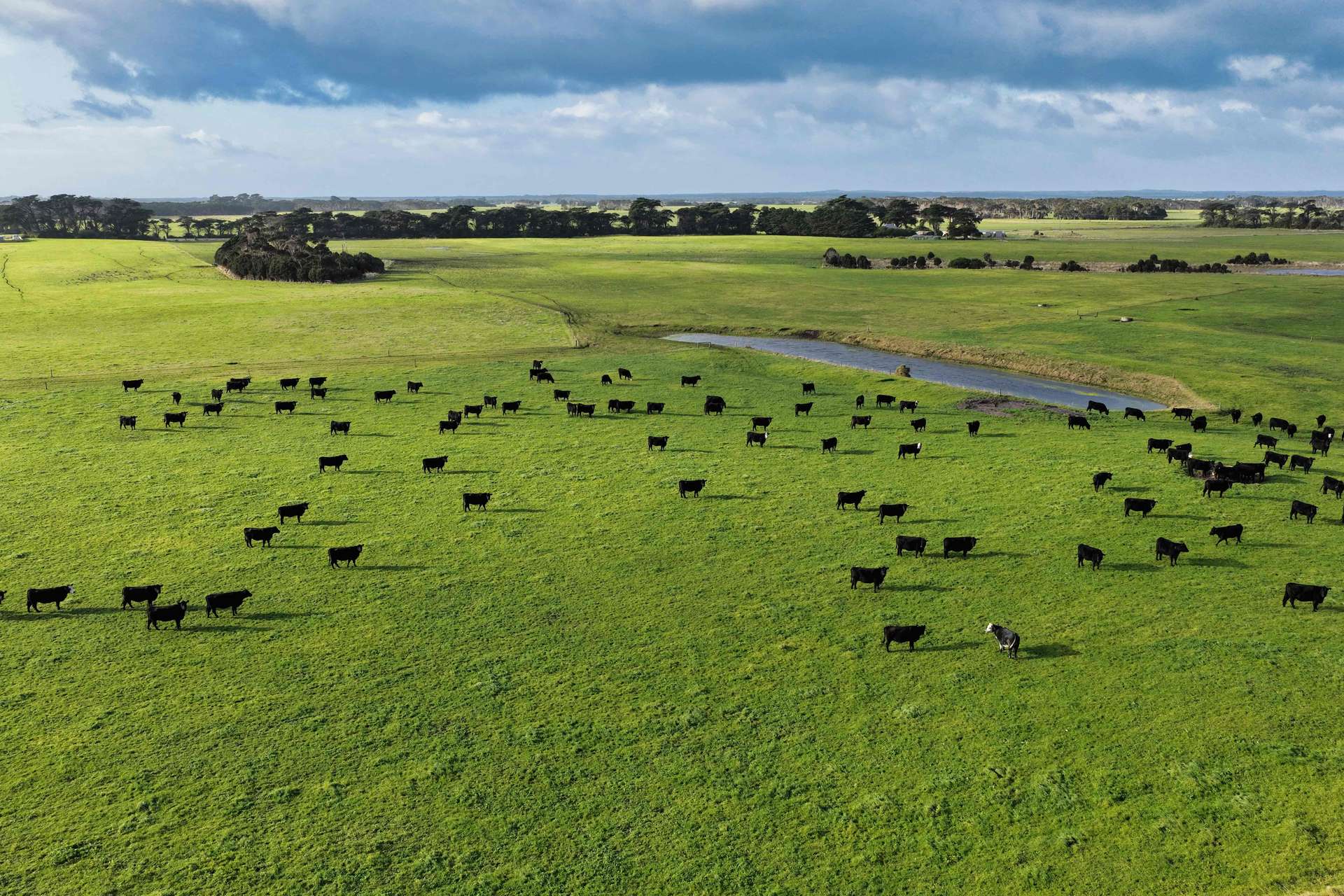 218 Mansons Road, Egg Lagoon For Sale by Farmbuy.com - image 9