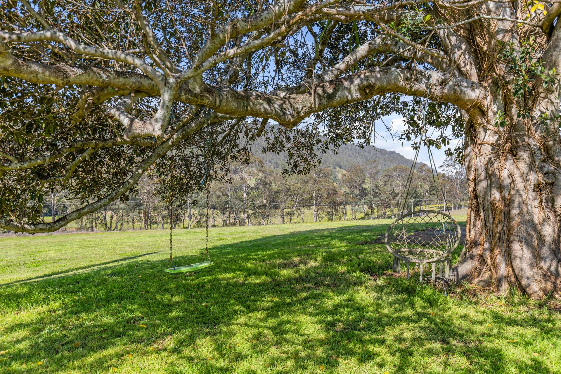 451 Chichester Dam Road, Dungog Auction by Farmbuy.com - image 29