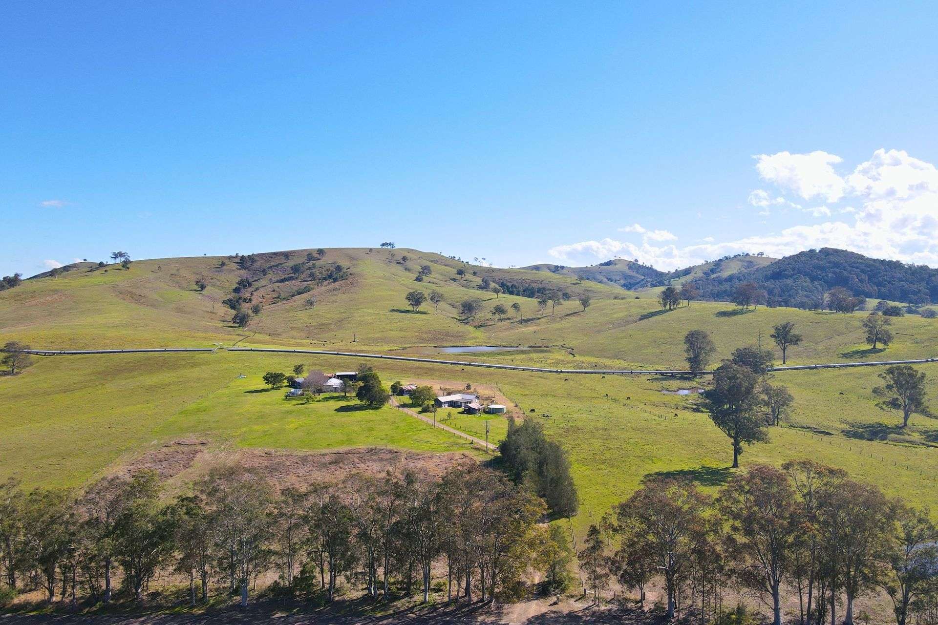 451 Chichester Dam Road, Dungog Auction by Farmbuy.com - image 13