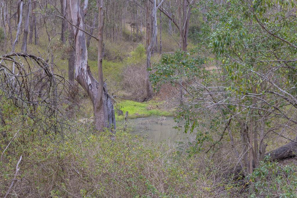 139 Valewood Road, Geham For Sale by Farmbuy.com - image 22