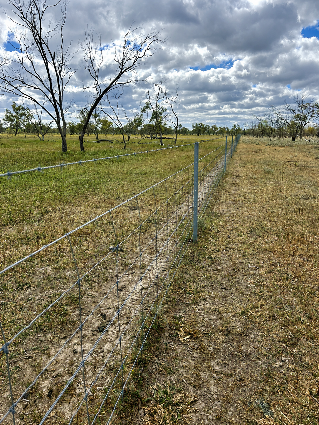 2906 Wilby Wilby Road, Cumborah Auction by Farmbuy.com - image 18