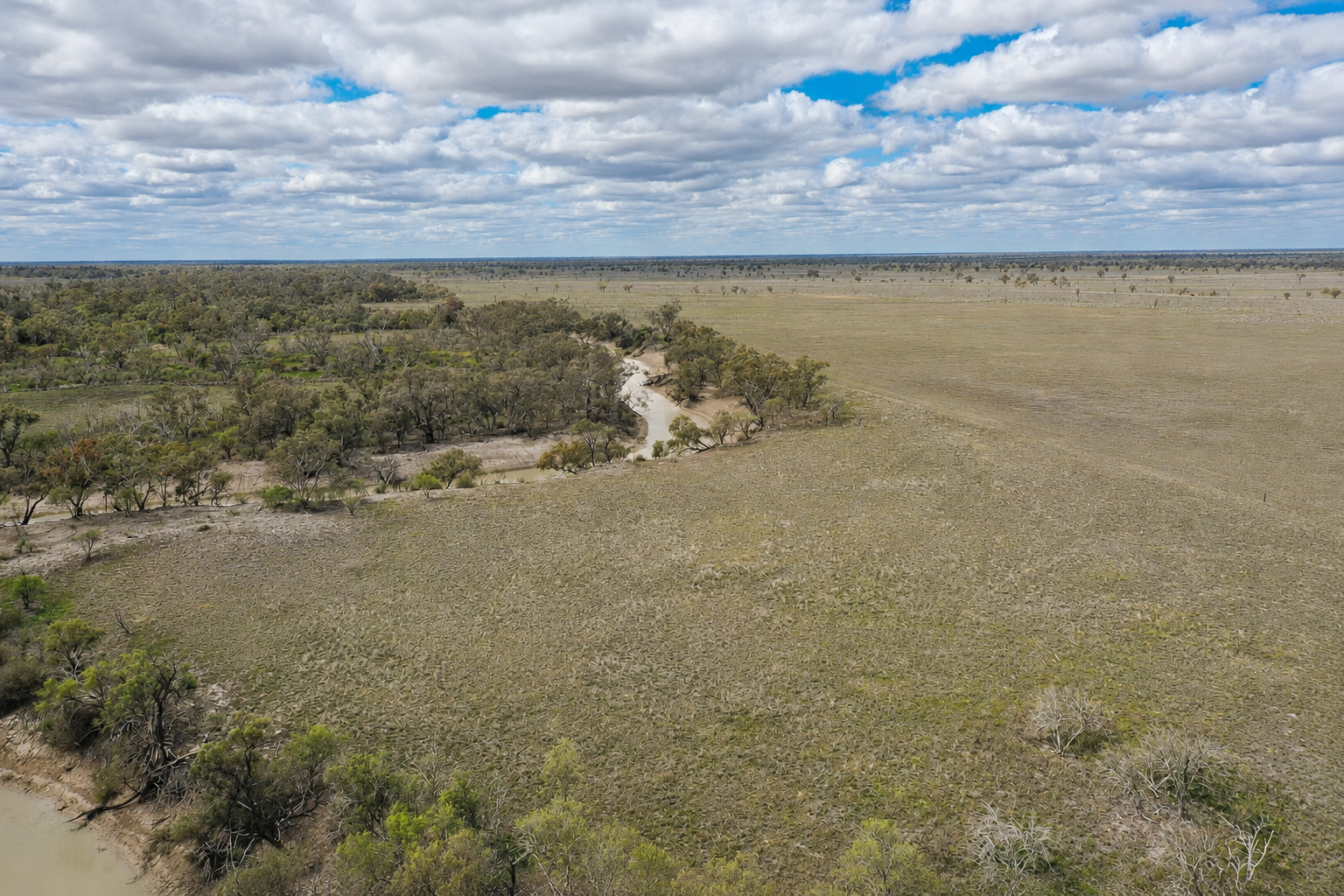 2906 Wilby Wilby Road, Cumborah Auction by Farmbuy.com - image 3