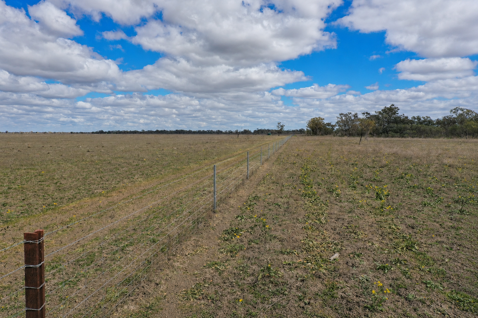 2906 Wilby Wilby Road, Cumborah Auction by Farmbuy.com - image 9