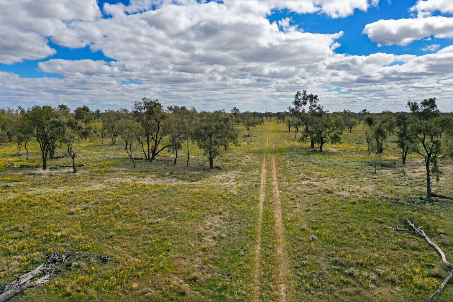 2906 Wilby Wilby Road, Cumborah Auction by Farmbuy.com - image 6