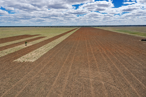 Farm Auction - NSW - Cumborah - 2832 - 'AITKEN' - LARGE-SCALE WESTERN GRAZING HOLDING 