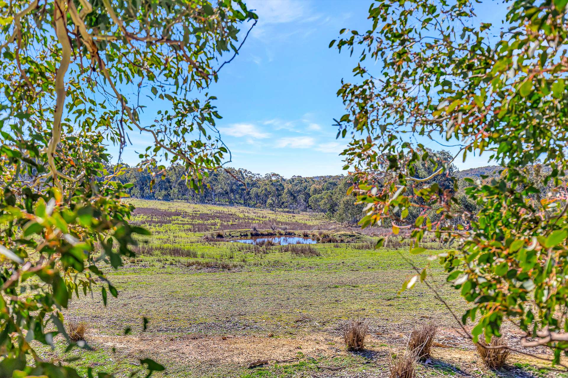 69 Gundowda Road, Mudgee For Sale by Farmbuy.com - image 12