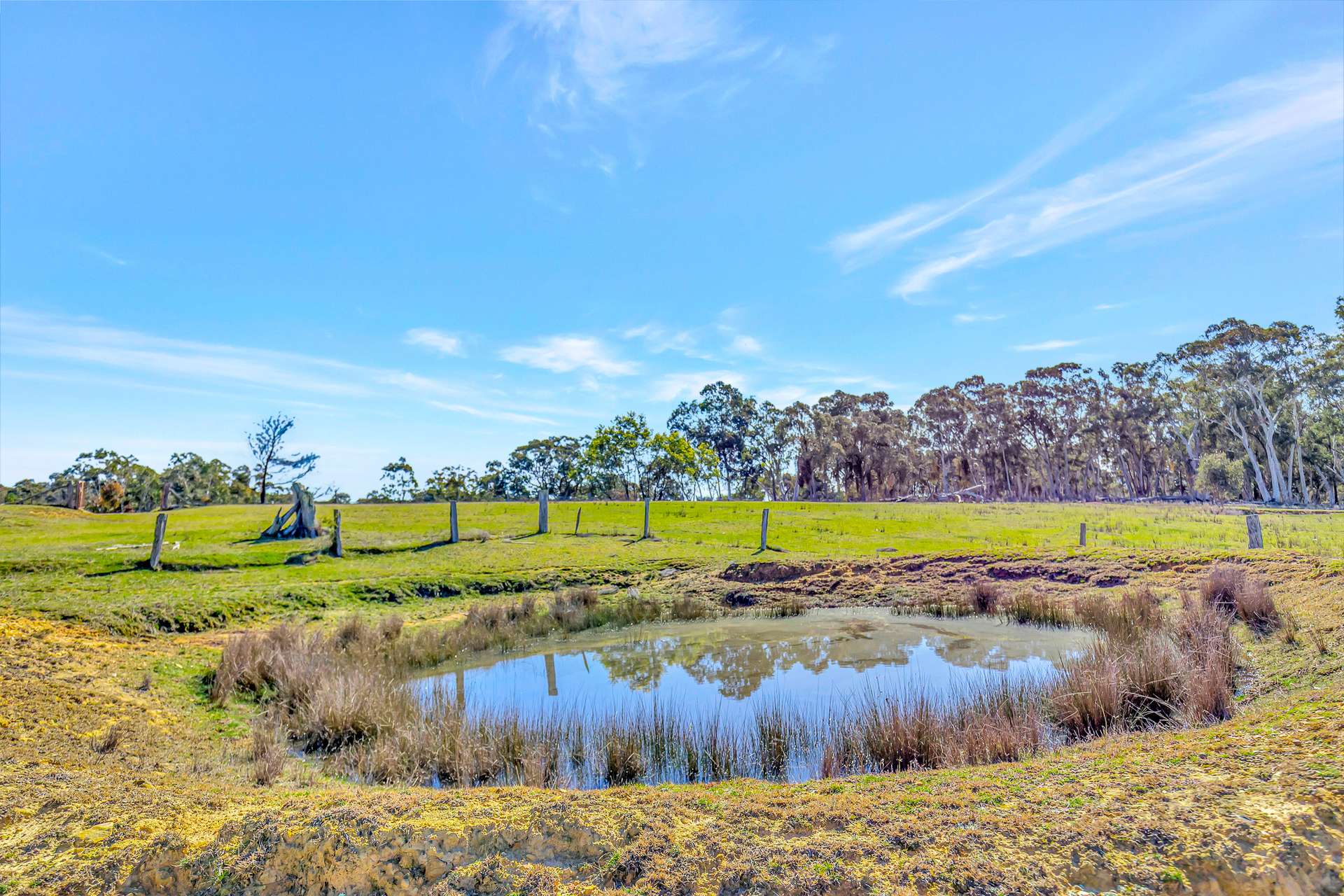 69 Gundowda Road, Mudgee For Sale by Farmbuy.com - image 5