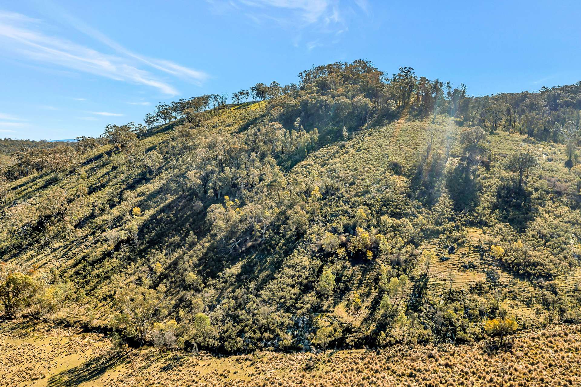 954 Pyramul Road, Mudgee For Sale by Farmbuy.com - image 8
