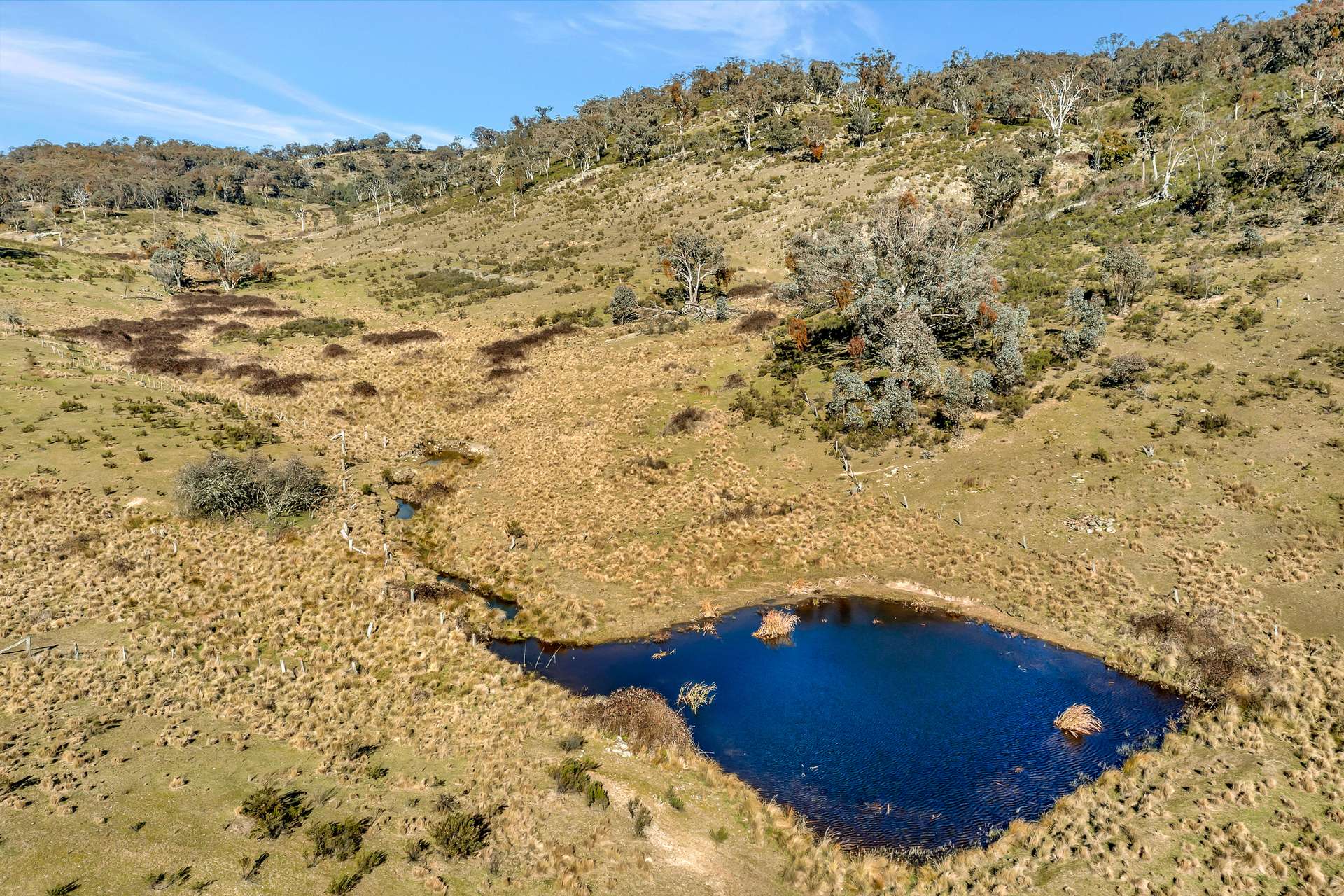 954 Pyramul Road, Mudgee For Sale by Farmbuy.com - image 4