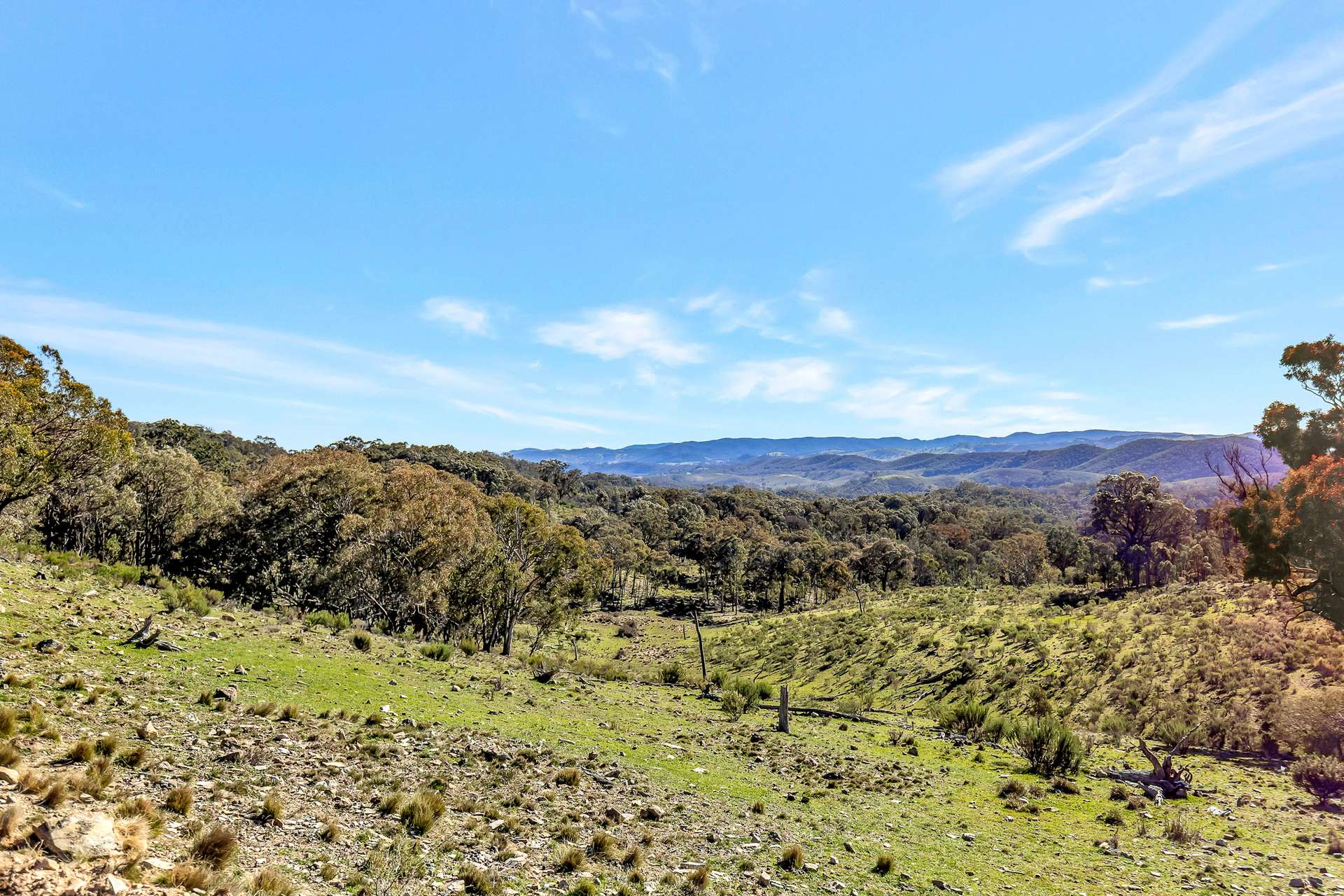 954 Pyramul Road, Mudgee For Sale by Farmbuy.com - image 16