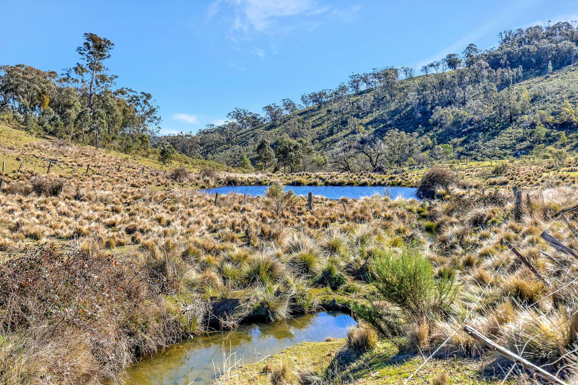 954 Pyramul Road, Mudgee For Sale by Farmbuy.com - image 6