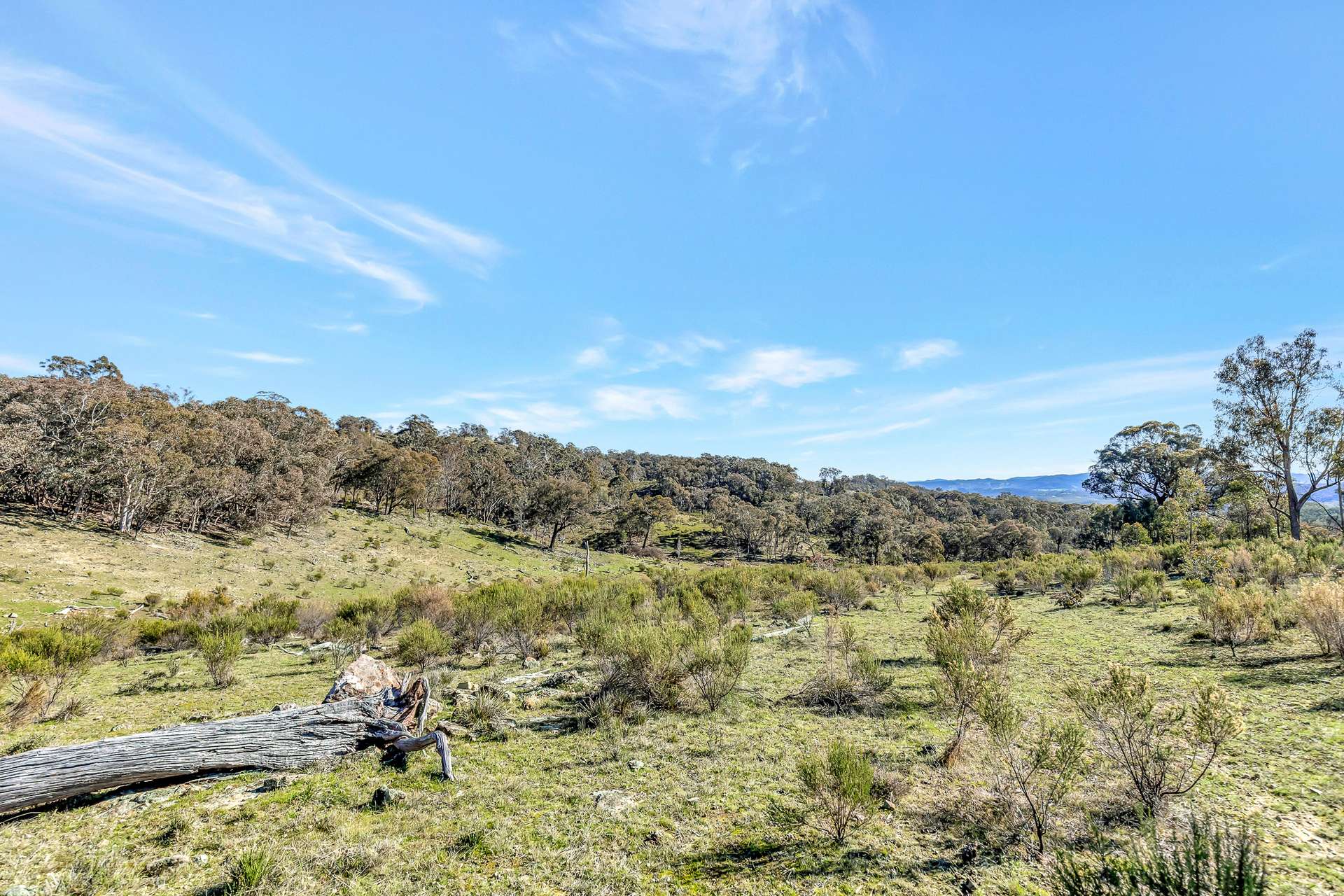 954 Pyramul Road, Mudgee For Sale by Farmbuy.com - image 13