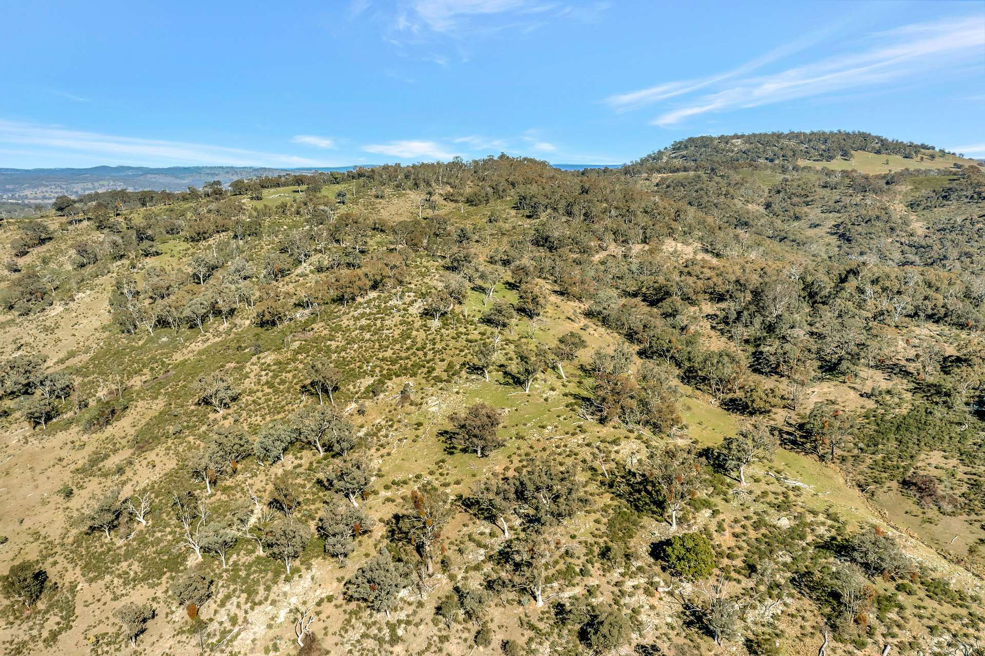 954 Pyramul Road, Mudgee For Sale by Farmbuy.com - image 14