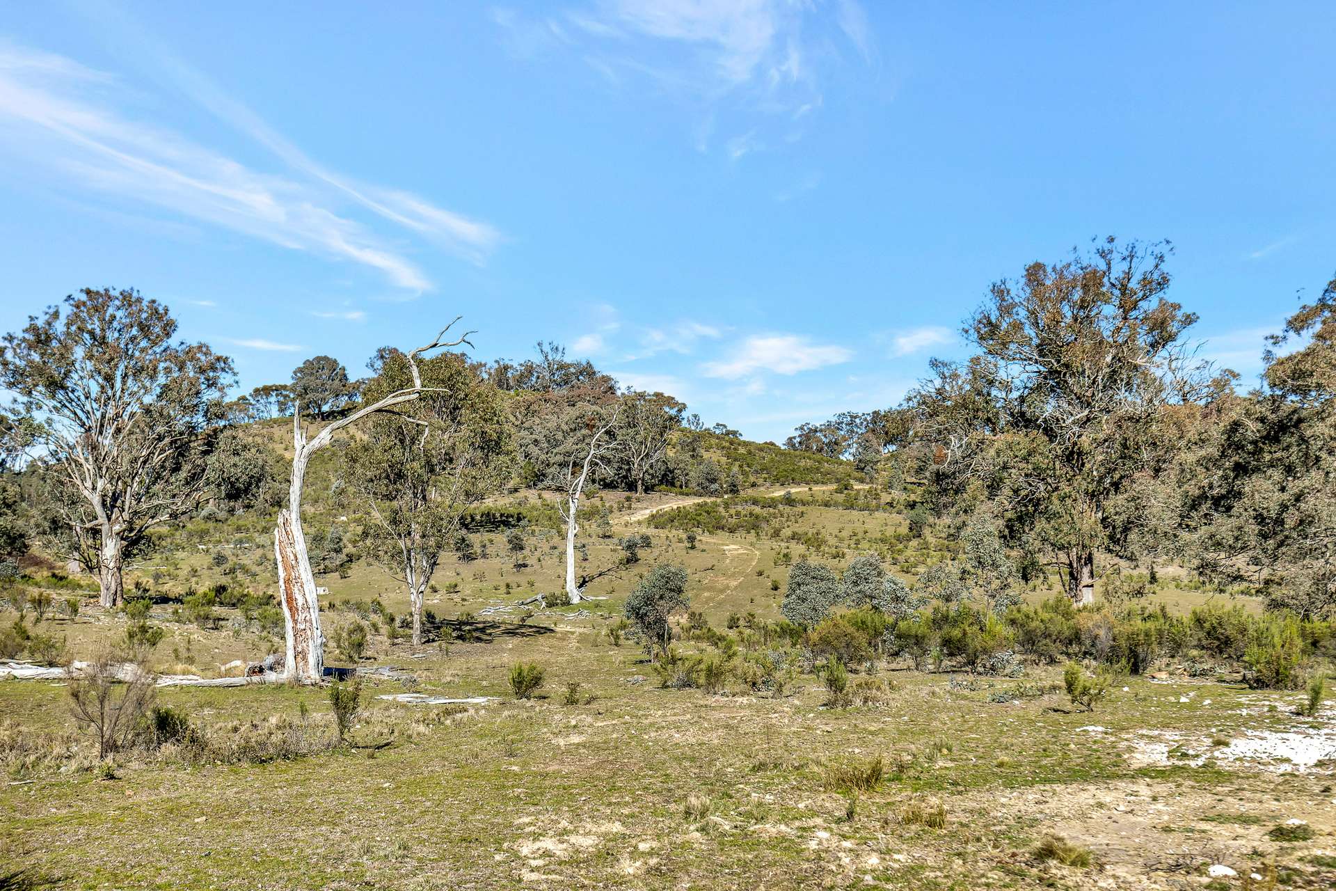 954 Pyramul Road, Mudgee For Sale by Farmbuy.com - image 17
