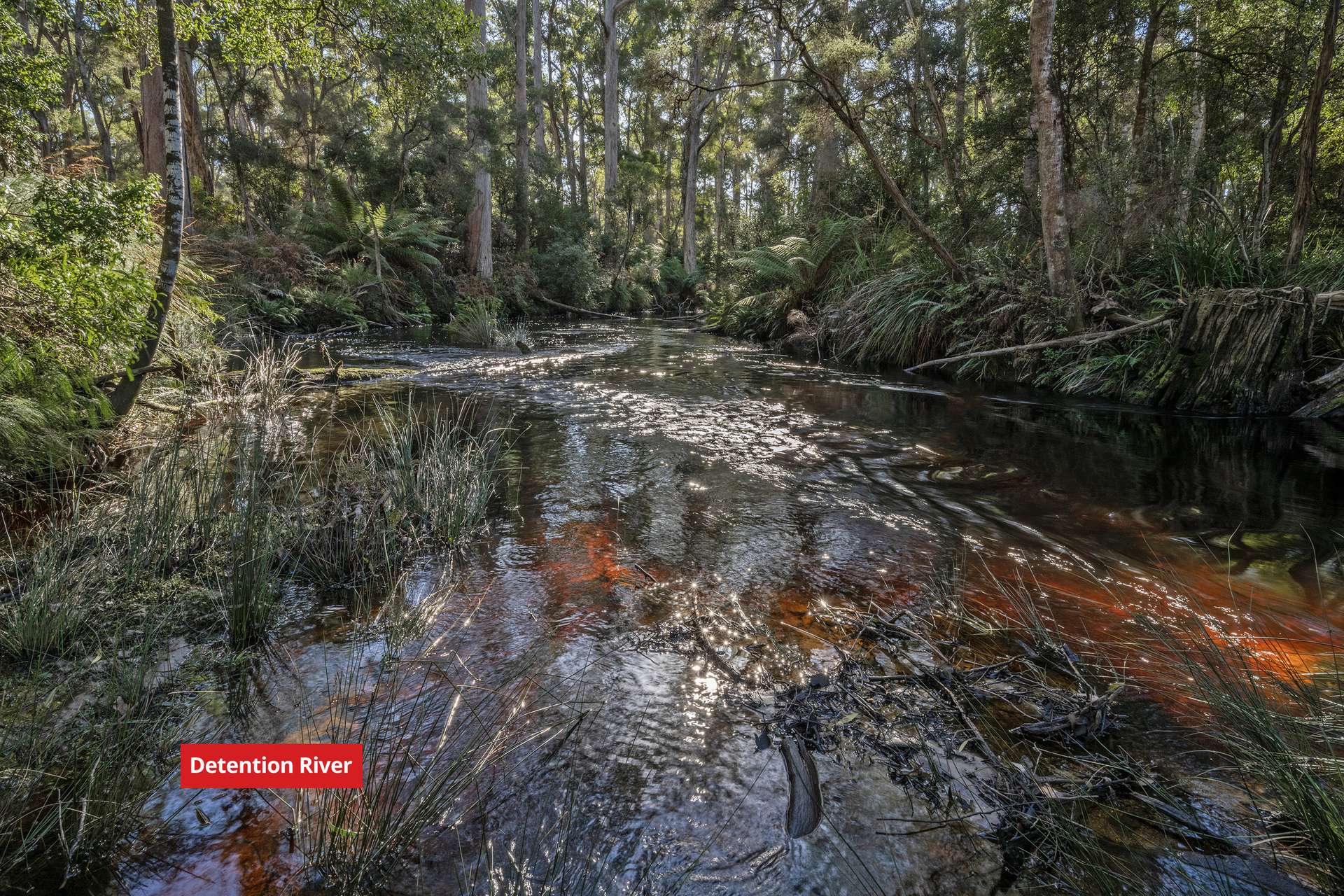 300 Coopers Road, Rocky Cape For Sale by Farmbuy.com - image 4