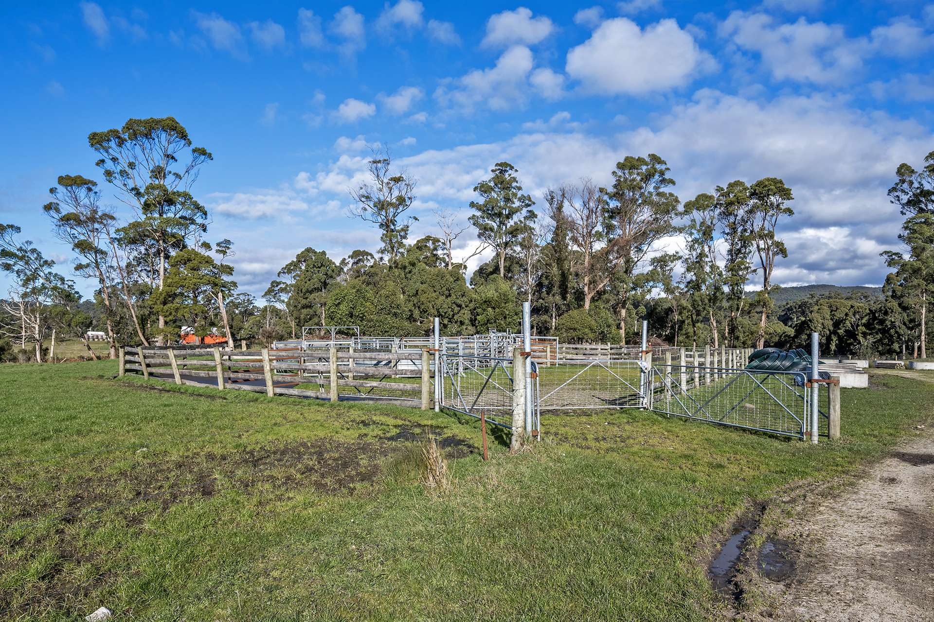 300 Coopers Road, Rocky Cape For Sale by Farmbuy.com - image 8