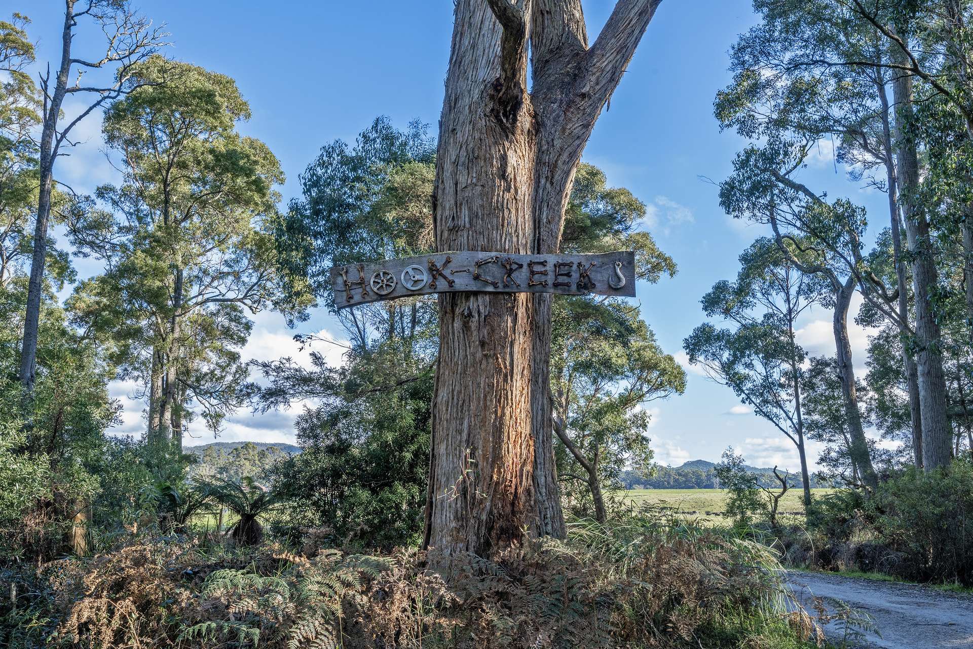300 Coopers Road, Rocky Cape For Sale by Farmbuy.com - image 10