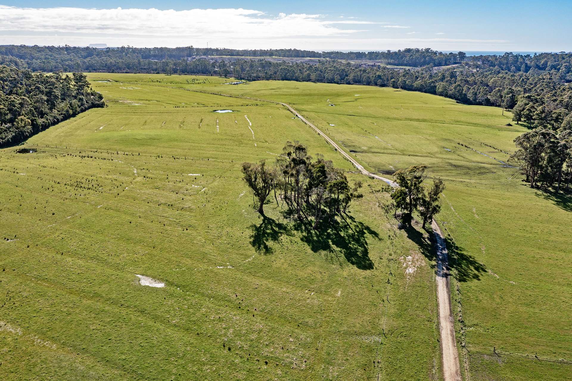 300 Coopers Road, Rocky Cape For Sale by Farmbuy.com - image 5