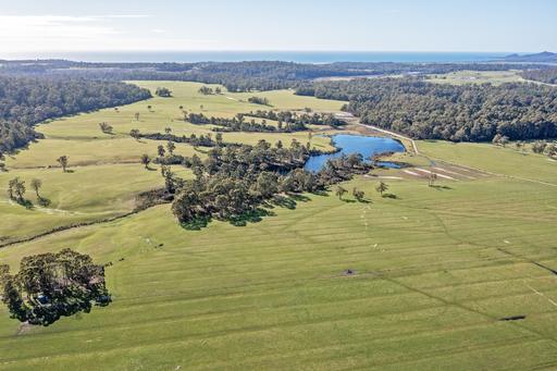 Farm For Sale - TAS - Rocky Cape - 7321 - Productive Coastal Grazing and Dairy Support Opportunity 