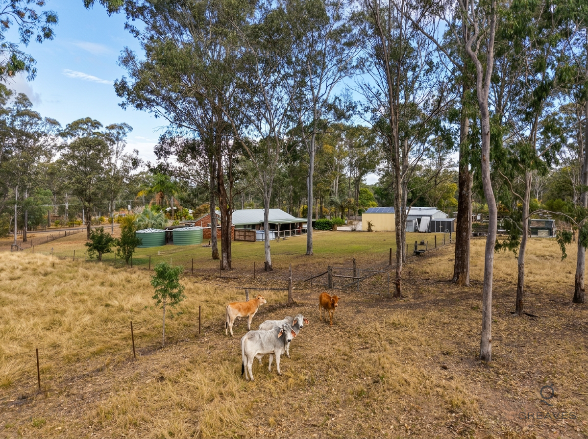 110 Maiseys Road, Yandaran For Sale by Farmbuy.com - image 35