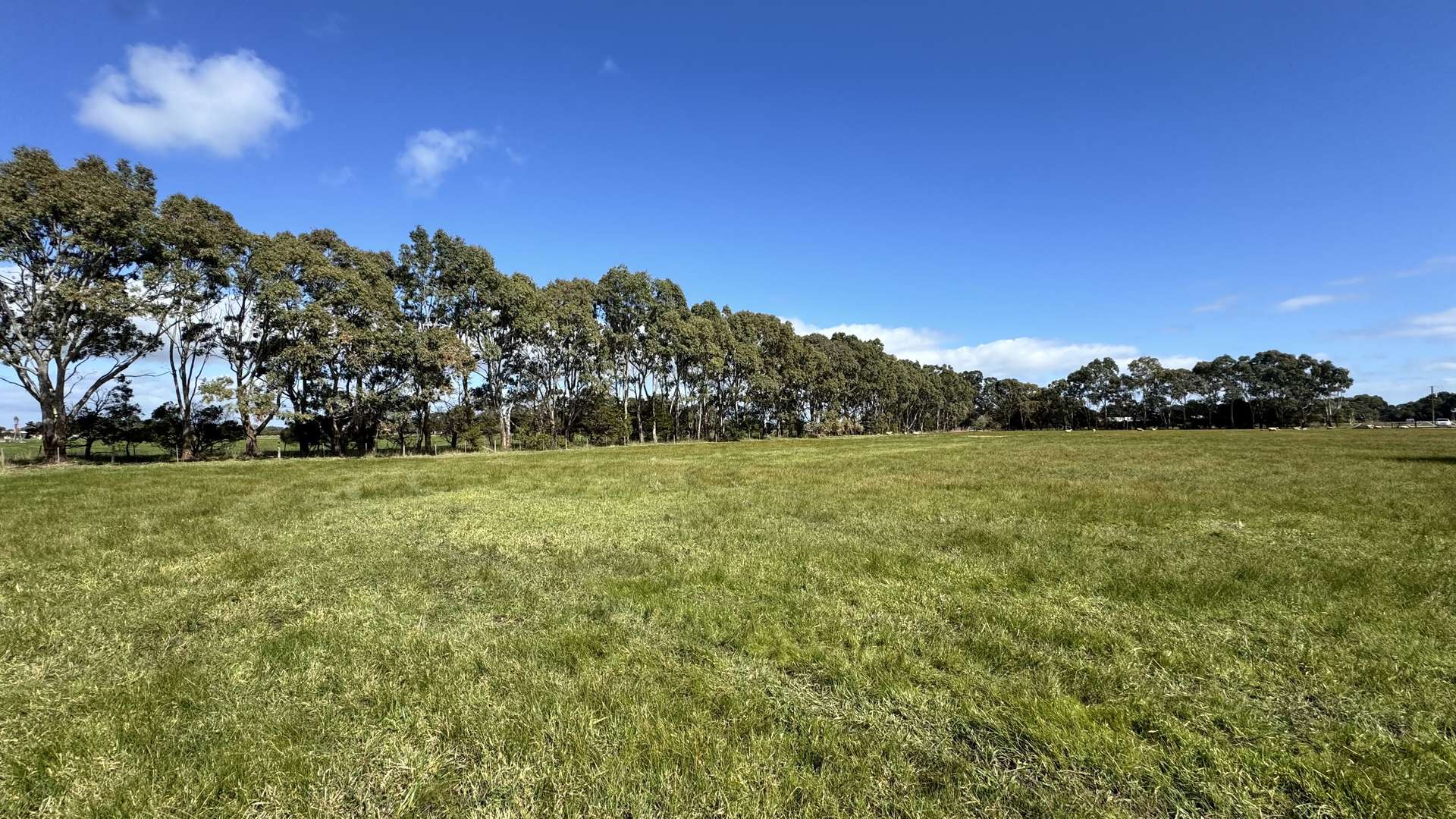 Allotment 1-4 Chinamans Lane, Penola For Sale by Farmbuy.com - image 3