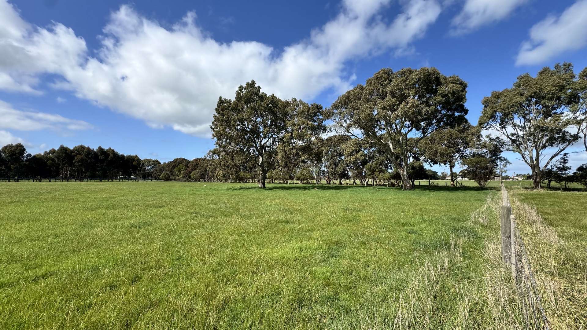 Allotment 1-4 Chinamans Lane, Penola For Sale by Farmbuy.com - image 2