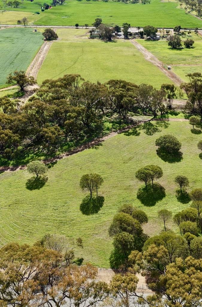 Lot 803 Trews Road, Daliak For Sale by Farmbuy.com - image 2