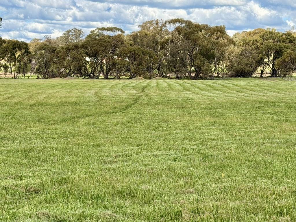 Lot 803 Trews Road, Daliak For Sale by Farmbuy.com - image 8
