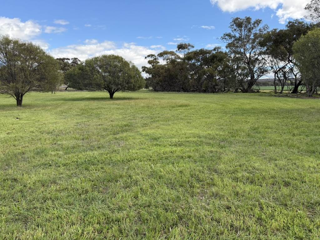 Lot 803 Trews Road, Daliak For Sale by Farmbuy.com - image 7