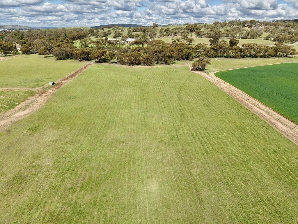 Lot 803 Trews Road, Daliak For Sale by Farmbuy.com - image 3