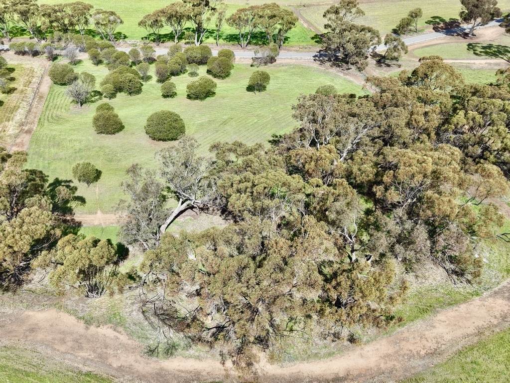 Lot 803 Trews Road, Daliak For Sale by Farmbuy.com - image 15
