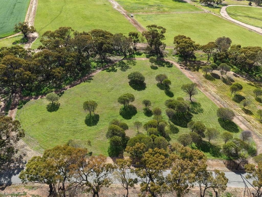 Lot 803 Trews Road, Daliak For Sale by Farmbuy.com - image 6