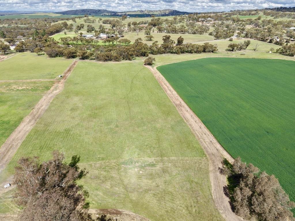 Lot 803 Trews Road, Daliak For Sale by Farmbuy.com - image 4