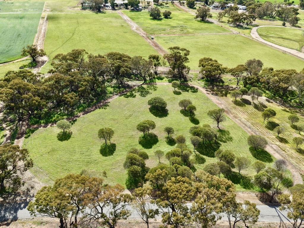 Lot 803 Trews Road, Daliak For Sale by Farmbuy.com - image 5