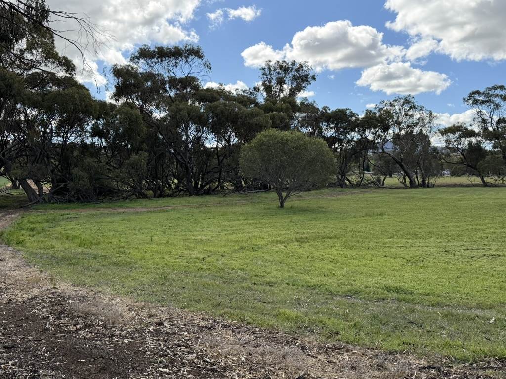 Lot 803 Trews Road, Daliak For Sale by Farmbuy.com - image 10