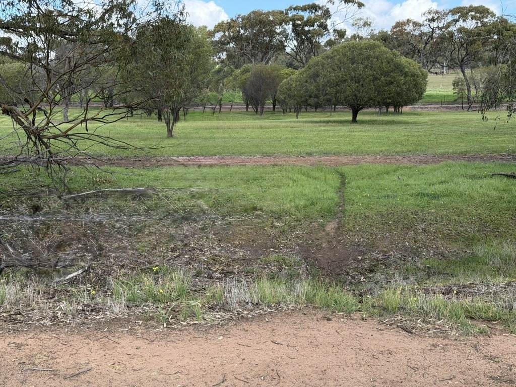 Lot 803 Trews Road, Daliak For Sale by Farmbuy.com - image 20